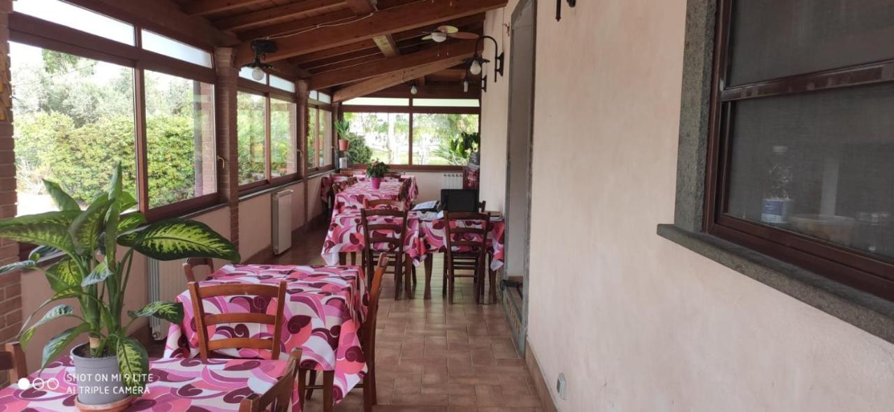 La Piana di Alsium Villa Ladispoli Bagian luar foto