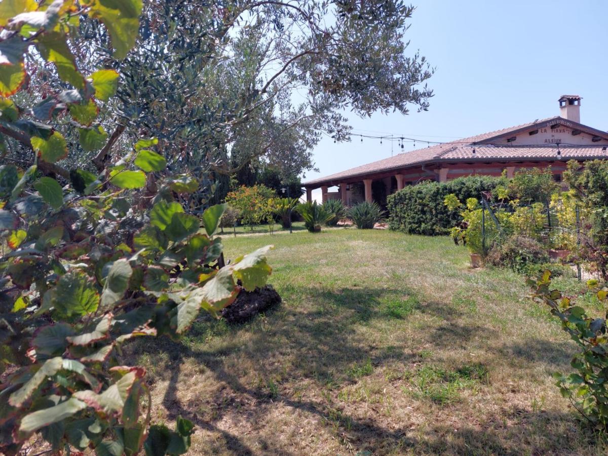 La Piana di Alsium Villa Ladispoli Bagian luar foto